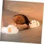 61KMFDd8GL._AC_UF8941000_QL80_FMwebp_.webp