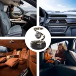 71ZEYLaGgIL._AC_UF1000,1000_QL80_FMwebp_