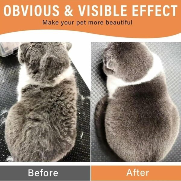 gLFoURcvpDJdIosTiQG0JZS27lvnIatg6RedV5ps